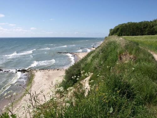 a beach with a grassy hill next to the ocean at Ostseeferienpark Walkyrien - Bootsmann 09 in Schashagen