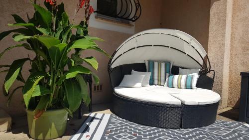 une chaise ronde assise à côté d'une plante en pot dans l'établissement La Villa Bella, à Beauvoisin