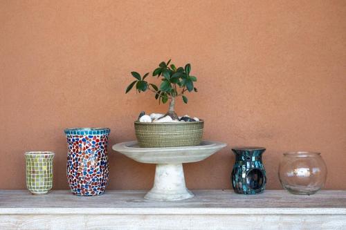 a group of vases sitting on a table with a plant at Lake House, stroll to beach & cafes- Pets Welcome in Trinity Beach
