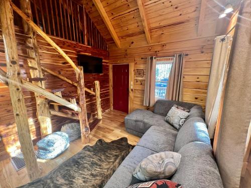 a living room with a couch in a log cabin at Hillside Haven 2 in Rogers