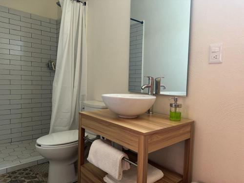 a bathroom with a sink and a toilet at Casa Cañonero, a magic place, tepextate room in Oaxaca City