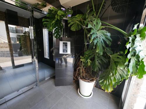 a group of potted plants on the side of a building at ステイインアット今福 in Sasebo