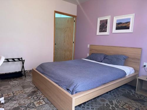 a bedroom with a large bed with purple walls at Casa Cañonero, a magic place, 4 room in Oaxaca City