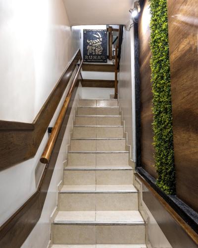 a staircase in a building with a plant at Runas Inn Machupicchu in Machu Picchu
