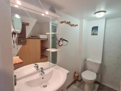 un bagno con lavandino, WC e doccia di Chalet Nina: Havre de paix en bord de rivière avec climatisation - FR-1-589-794 ad Anould