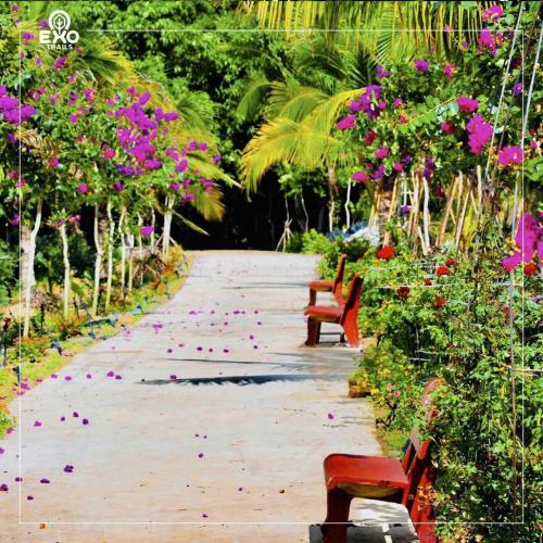 two benches on a walkway with flowers and trees at Phú Điền Homestay in Tân Phú