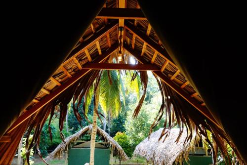 Jardin de l'établissement Jungle View River Camping
