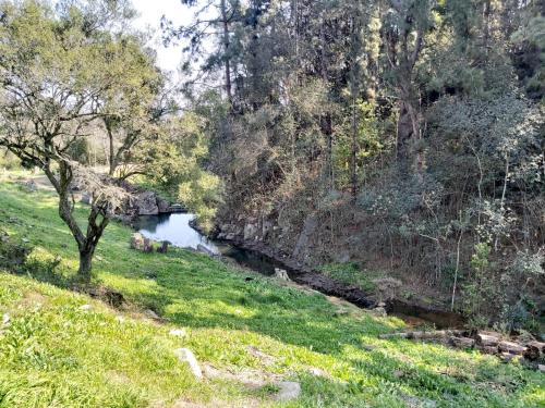a river in the middle of a field with trees at Alquilo casa en las Sierras de Minas "VIEJO RANCHO" in Minas