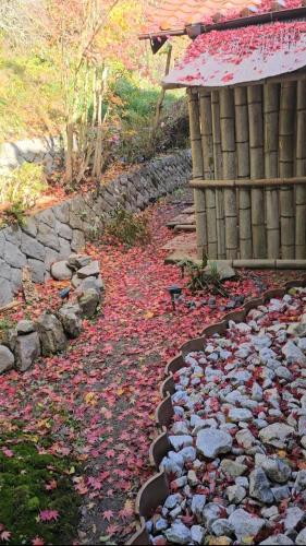 a stone walkway with leaves on the ground next to a building at 民宿SAZANAMi in Hagi