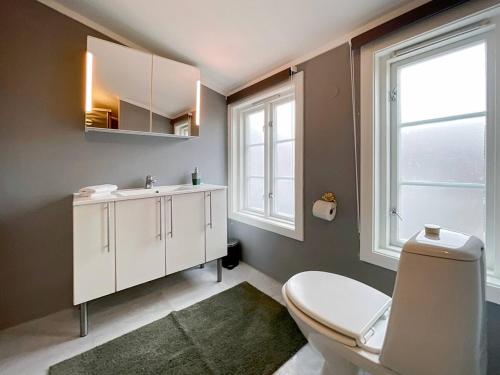 ein Badezimmer mit einem WC und einem Waschbecken sowie zwei Fenster in der Unterkunft The Green 20 of Stavanger BnB in Stavanger
