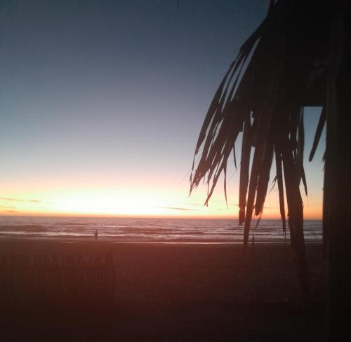a palm tree on a beach at sunset at Tres Velas Surf in Celestino Gasca