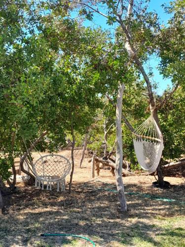a hammock hanging from a tree in a park at Tres Velas Surf in Celestino Gasca