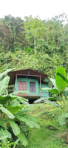 Gallery image of Río Verde Ecolodge in Puerto Jiménez