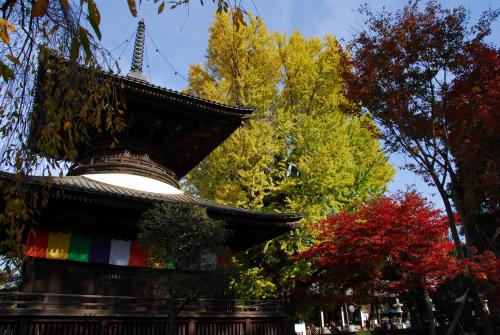 Φωτογραφία από το άλμπουμ του Hotel Wakasa σε Ashikaga
