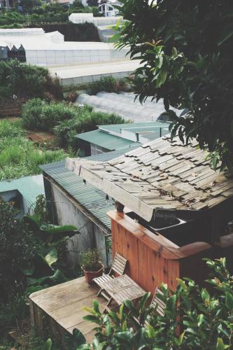 Un jardín fuera de Vườn Mơ