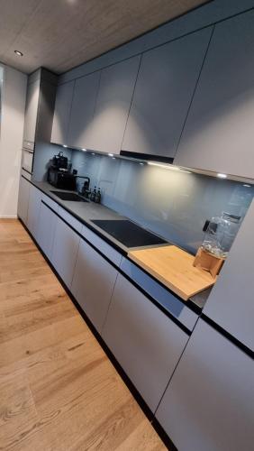Kuchyň nebo kuchyňský kout v ubytování Luxury Home JuNa