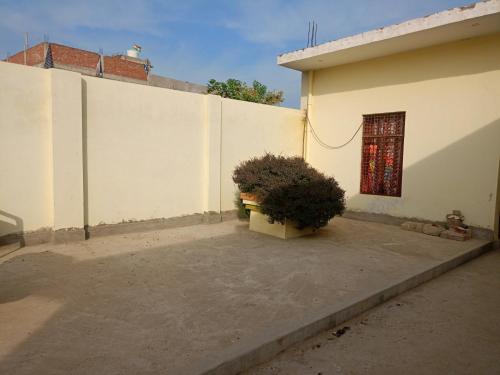 a white building with a bush next to a window at Samriddhi Home stay in Prayagraj