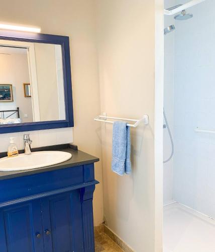 une salle de bain avec un lavabo, un miroir et une douche dans l'établissement Harmony - Cosy villa in the south of France, à Lézignan-la-Cèbe