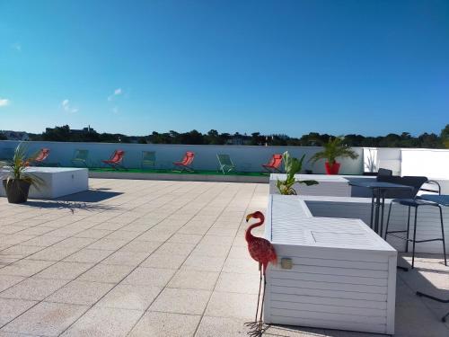 a bird standing next to a bench on a roof at Adonis La Baule in La Baule