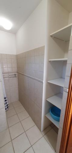 La salle de bains est pourvue d'une douche et d'étagères blanches. dans l'établissement Studio 30 m2 climatisé calme, à Eccica-Suarella