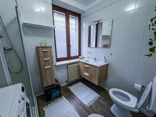 une salle de bain avec toilettes, lavabo et miroir dans l'établissement Romantic river appartamento Udine centro, à Udine