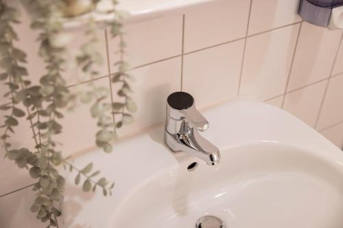 a bathroom sink with a faucet and a plant at Zum Hüttenklaus - 12 Personen Gruppenunterkunft in den Bergen mit eigenem Badezuber in Bad Hindelang