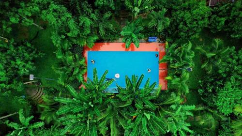 Jardín al aire libre en The Lazy Farm - Homestay & Glamping