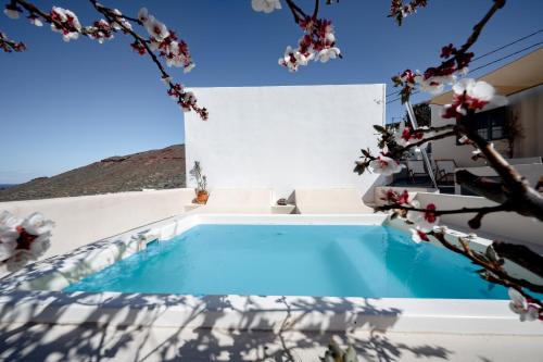 a villa with a swimming pool and flowering trees at Lotza Studios in Oia