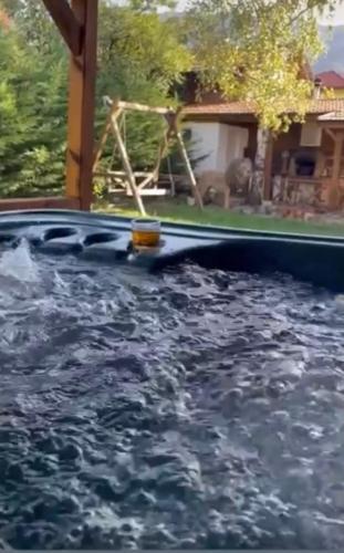a pool full of water with a swing at Guest House Kalina in Sapareva Banya