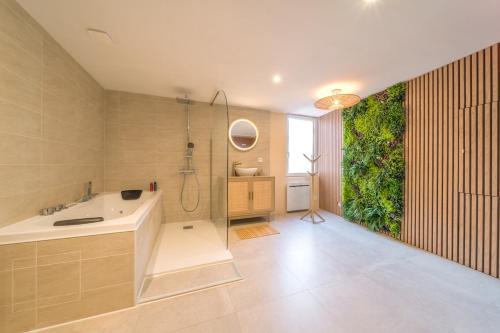 a bathroom with a shower and a sink and a tub at Bali Room Apartment et Spa Chambéry in Chambéry