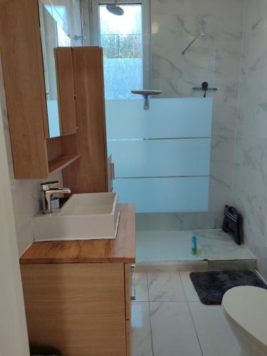 une salle de bain avec un lavabo blanc et une douche dans l'établissement Entire home - Centre Fécamp - 45 Rosa, à Fécamp