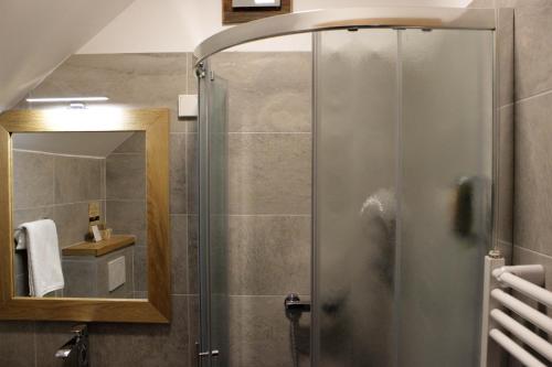 a shower with a glass door in a bathroom at Eko hiša-Eco House Na razpotju in Solčava