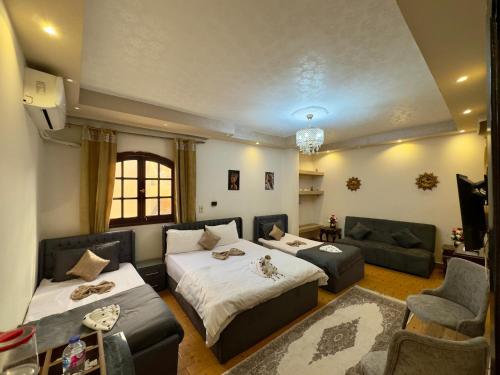 ƴoya pyramids Kingdom inn