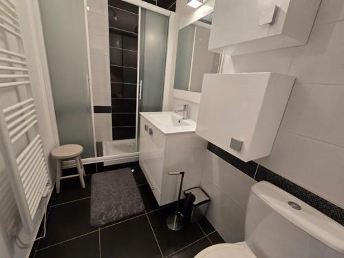 une petite salle de bain avec toilettes et lavabo dans l'établissement Joli studio face mer et estacade, à Saint-Jean-de-Monts