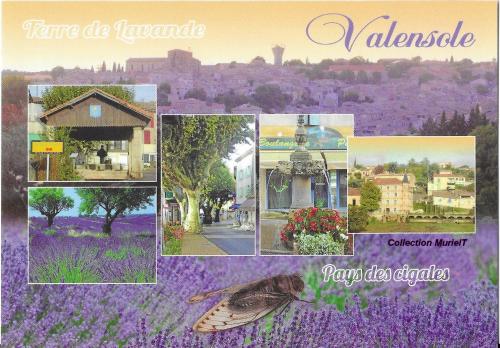 a collage of pictures of flowers and a butterfly at Gites Lou Limbert in Valensole