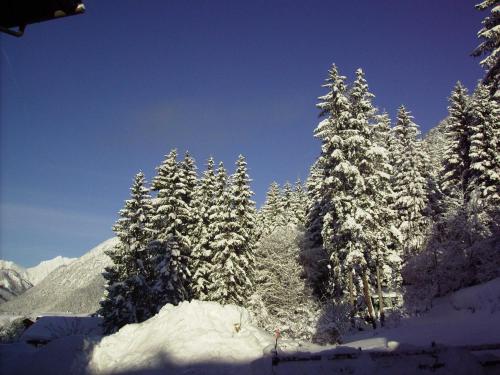 a group of trees covered in snow on a mountain at Ferienwohnung Landhaus Lechner in Buchau