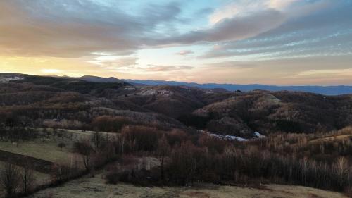 an aerial view of a valley with trees and mountains at Air Cabin, Cabana tip A-frame in Șerani, Bihor in Şerani