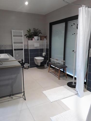 une salle de bain avec toilettes, lavabo et douche dans l'établissement La Longère des Basses Terres, à La Garnache