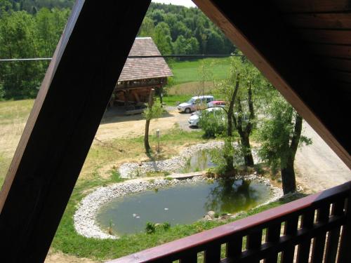 a view of a pond from a window at Turistična Kmetija Čebelji Gradič in Rogašovci