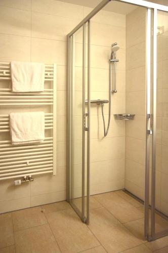 a shower with a glass door in a bathroom at Apartments Lettenmaier in Oberried
