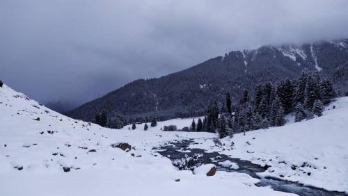 a snow covered mountain with trees and a river at Ecotrek Yurt Camp in Dzhetyoguz