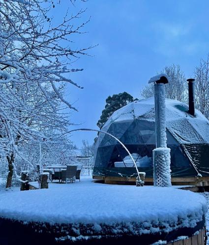 a dome tent in a yard covered in snow at Woodland dome in Thornbury
