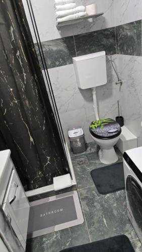 a bathroom with a white toilet and a shower at Apartman Aleksandar 2 in Nova Varoš