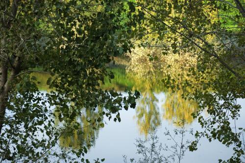 a reflection of trees in the water at Museo Grillo Camere d'Arte, dormire nel Museo in Arena Po