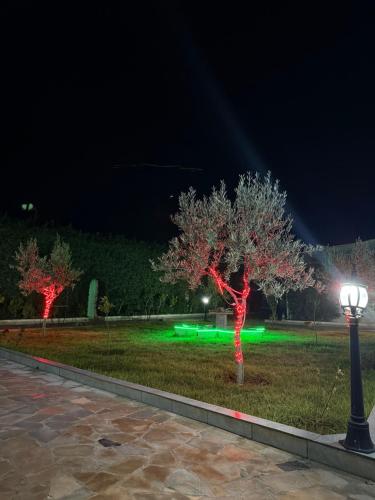 Zahrada ubytování Hôtel Khalwa