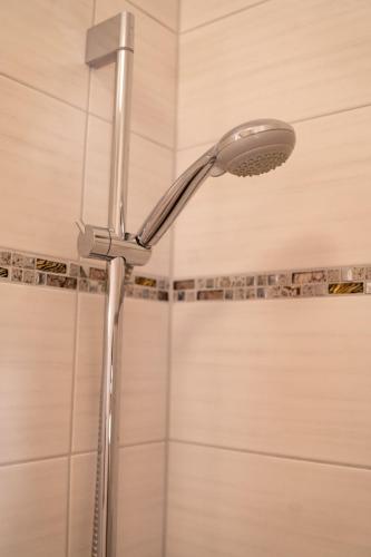 a shower with a shower head in a bathroom at Waldhotel in Boizenburg