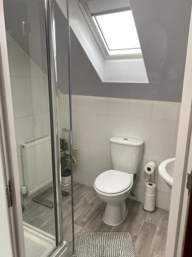 a bathroom with a toilet and a sink and a skylight at 30 College Street, Buckhaven, Leven, Fife, KY81JX in Buckhaven