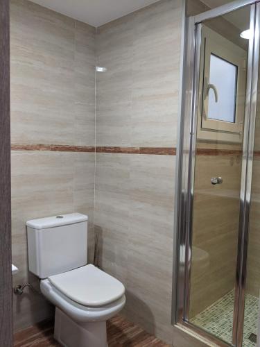 a bathroom with a toilet and a shower at La CASA BLAVA in Cubelles