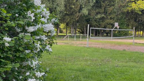 a park with a volley ball net and flowers at 18 oaks Private Countryside-palace apartment INDIA in Bauska