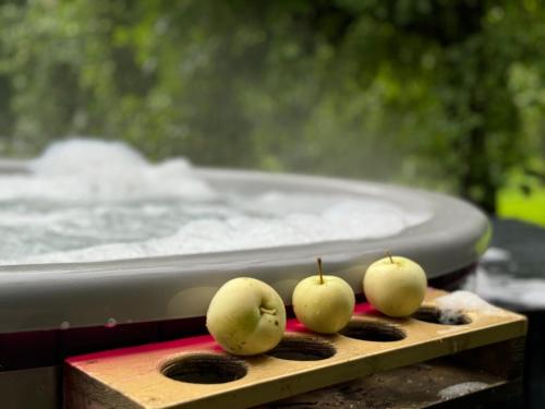 four apples on a wooden board next to a swimming pool at 18 oaks Private Countryside-palace apartment INDIA in Bauska